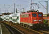 110135bCA.jpg (86325 Byte)