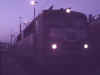 110196.jpg (20742 Byte)